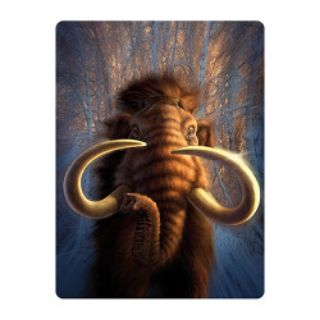 Obrázek z Pohlednice 3D 16cm - mamut (25) 